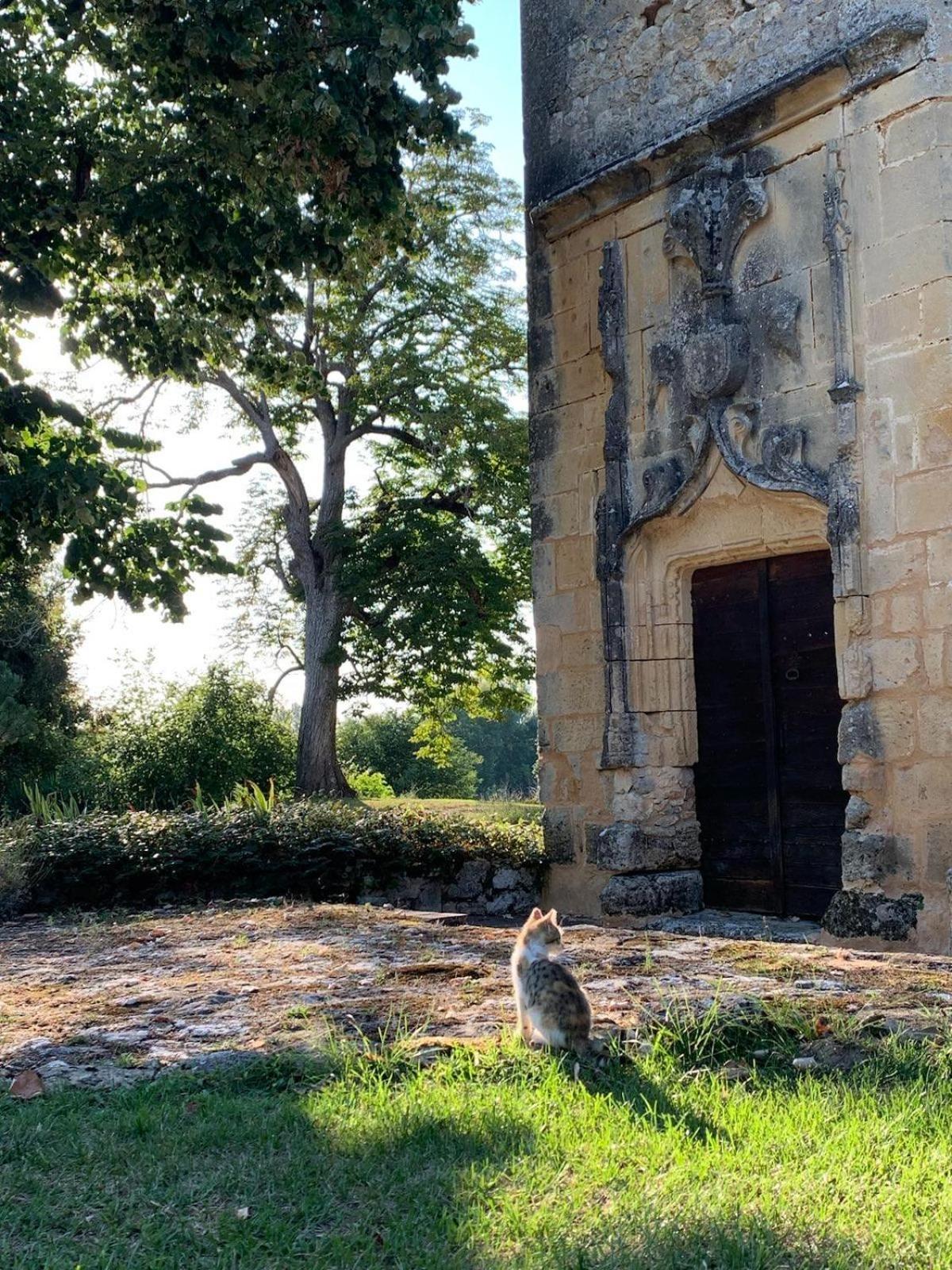 Chateau De Monsac ภายนอก รูปภาพ